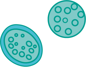 Ilustración científica